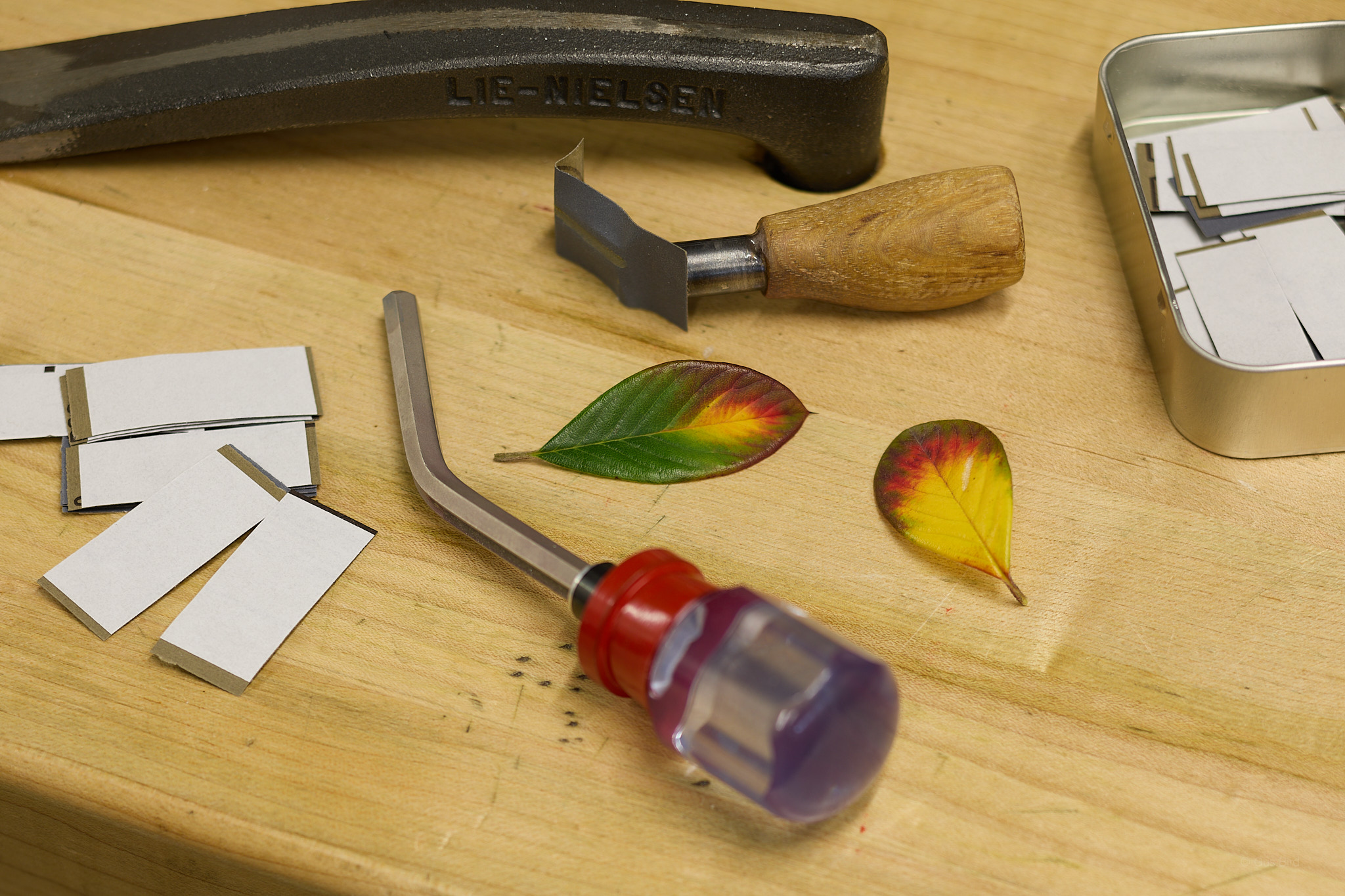 Fret polishers