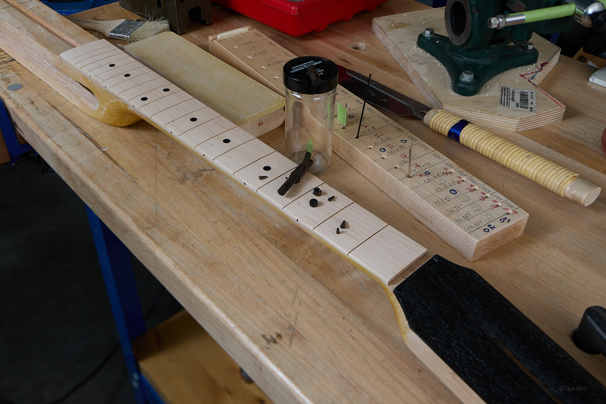Fretboard markers